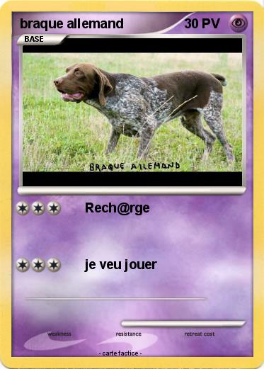 Pokemon braque allemand