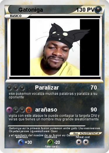 Pokemon Gatoniga