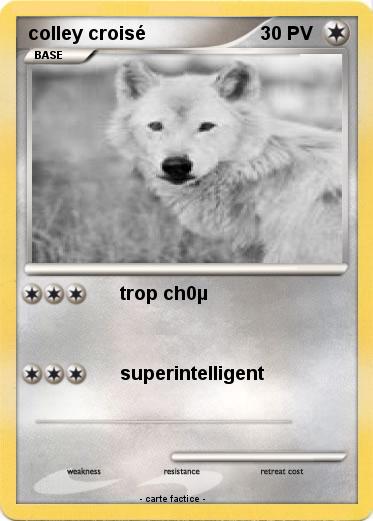 Pokemon colley croisé