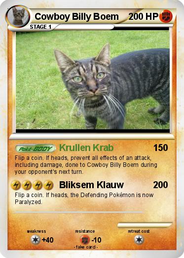 Pokemon Cowboy Billy Boem