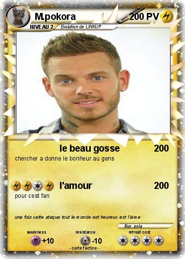 Pokemon M.pokora
