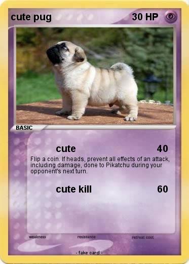 Pokemon cute pug