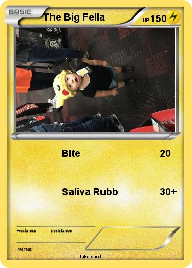 Pokemon The Big Fella