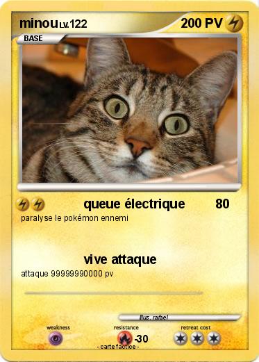 Pokemon minou