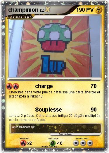 Pokemon champinion