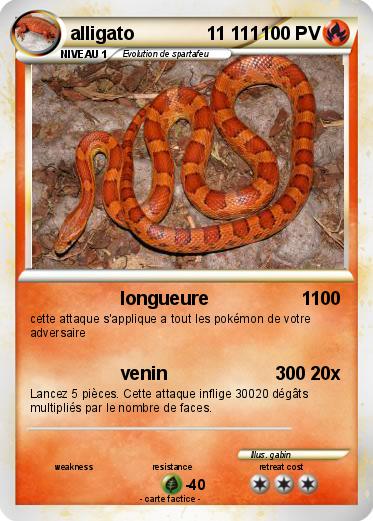Pokemon alligato              11 111
