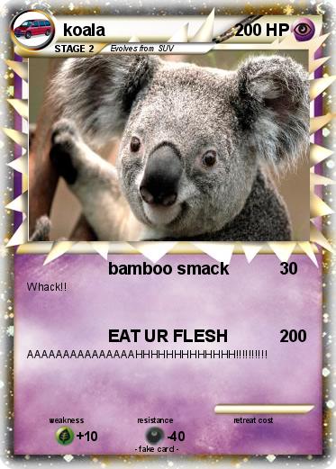 Pokemon koala