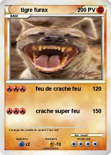 Pokemon tigre furax