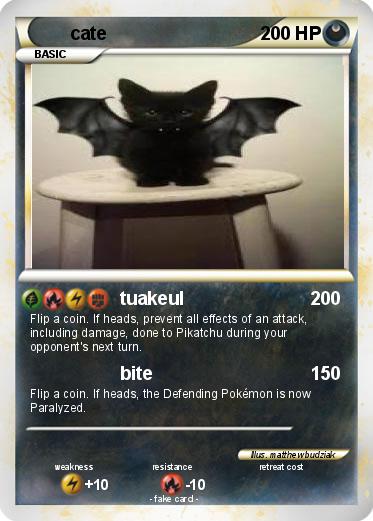 Pokemon cate