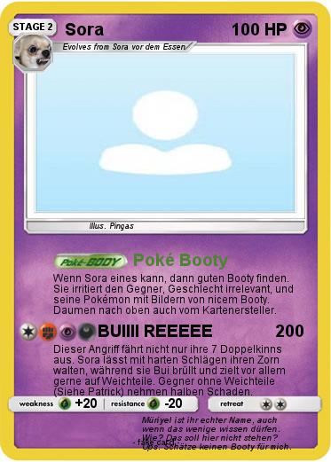 Pokemon Sora