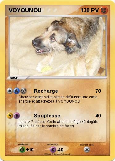Pokemon VOYOUNOU