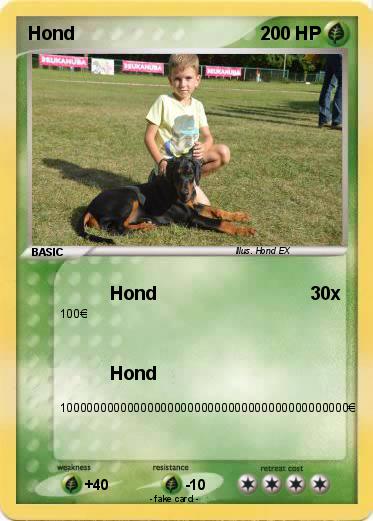 Pokemon Hond