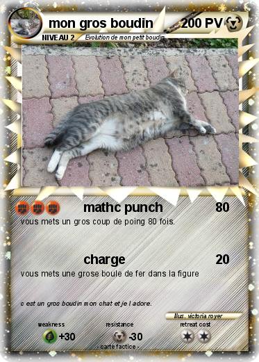 Pokemon mon gros boudin