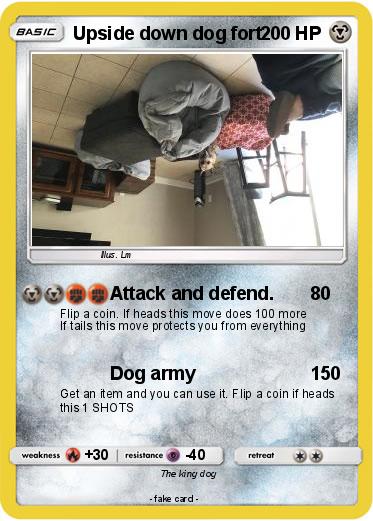 Pokemon Upside down dog fort