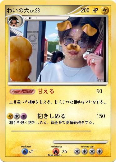 Pokemon わいの犬