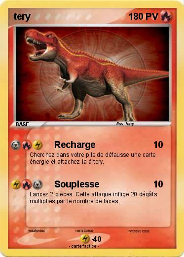 Pokemon tery