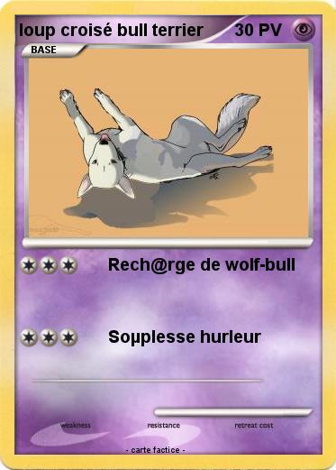 Pokemon loup croisé bull terrier