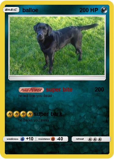 Pokemon balloe