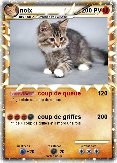 Pokemon noix
