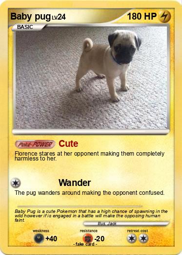 Pokemon Baby pug