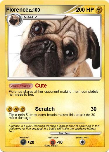 Pokemon Florence