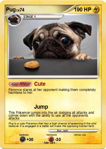 Pokemon Pug