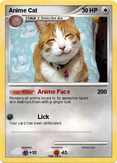 Pokemon Anime Cat