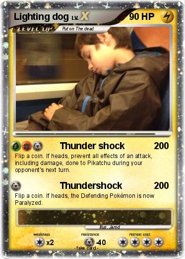 Pokemon Lighting dog