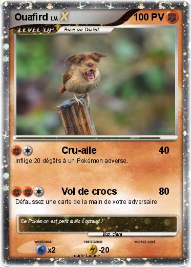 Pokemon Ouafird