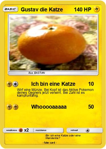 Pokemon Gustav die Katze