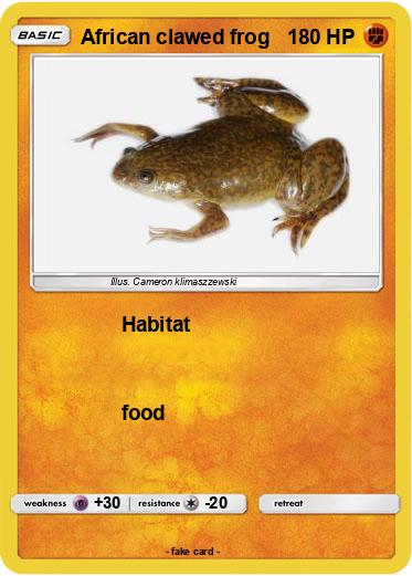 Pokemon African clawed frog