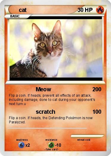 Pokemon cat
