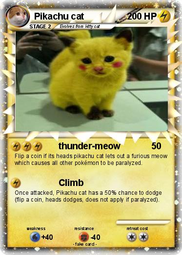 Pokemon Pikachu cat