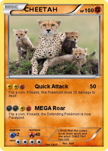 Pokemon CHEETAH