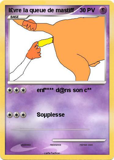 Pokemon l£vre la queue de mastiff
