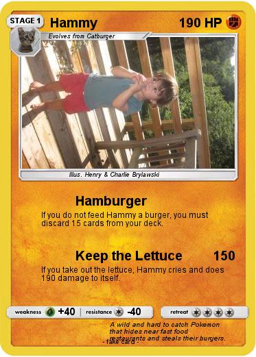 Pokemon Hammy