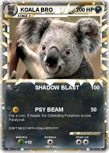Pokemon KOALA BRO