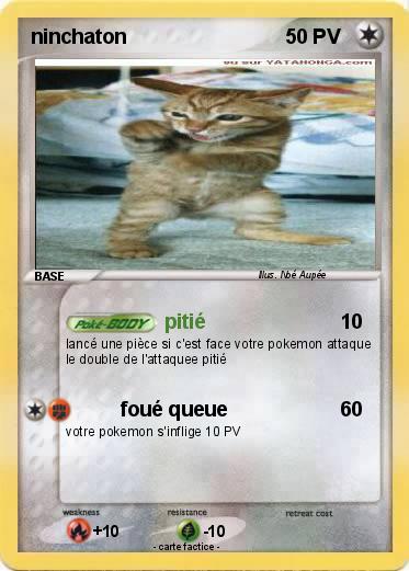 Pokemon ninchaton