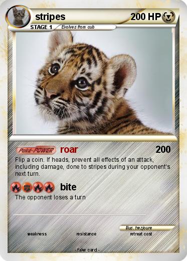 Pokemon stripes