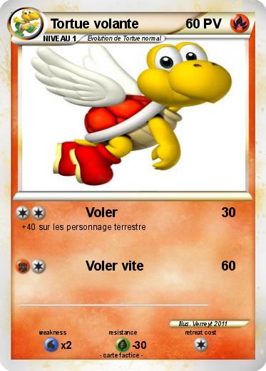 Pokemon Tortue volante