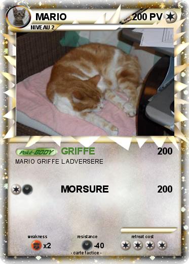 Pokemon MARIO