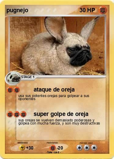 Pokemon pugnejo