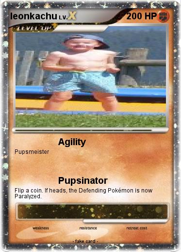 Pokemon leonkachu