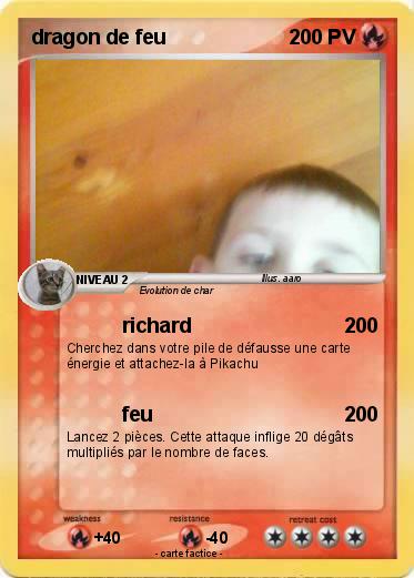 Pokemon dragon de feu