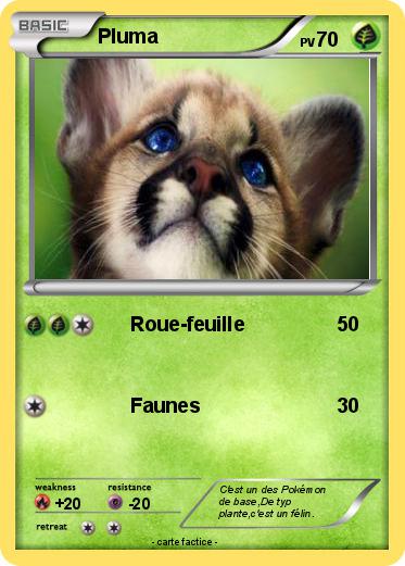 Pokemon Pluma