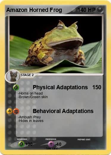 Pokemon Amazon Horned Frog