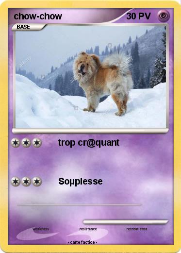 Pokemon chow-chow