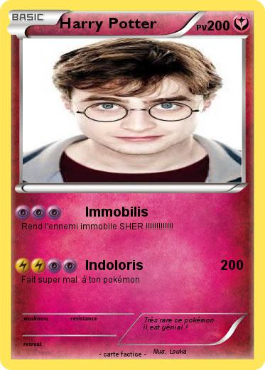 Pokemon Harry Potter
