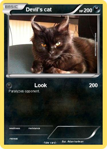 Pokemon Devil's cat