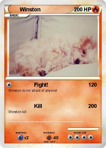 Pokemon Winston
